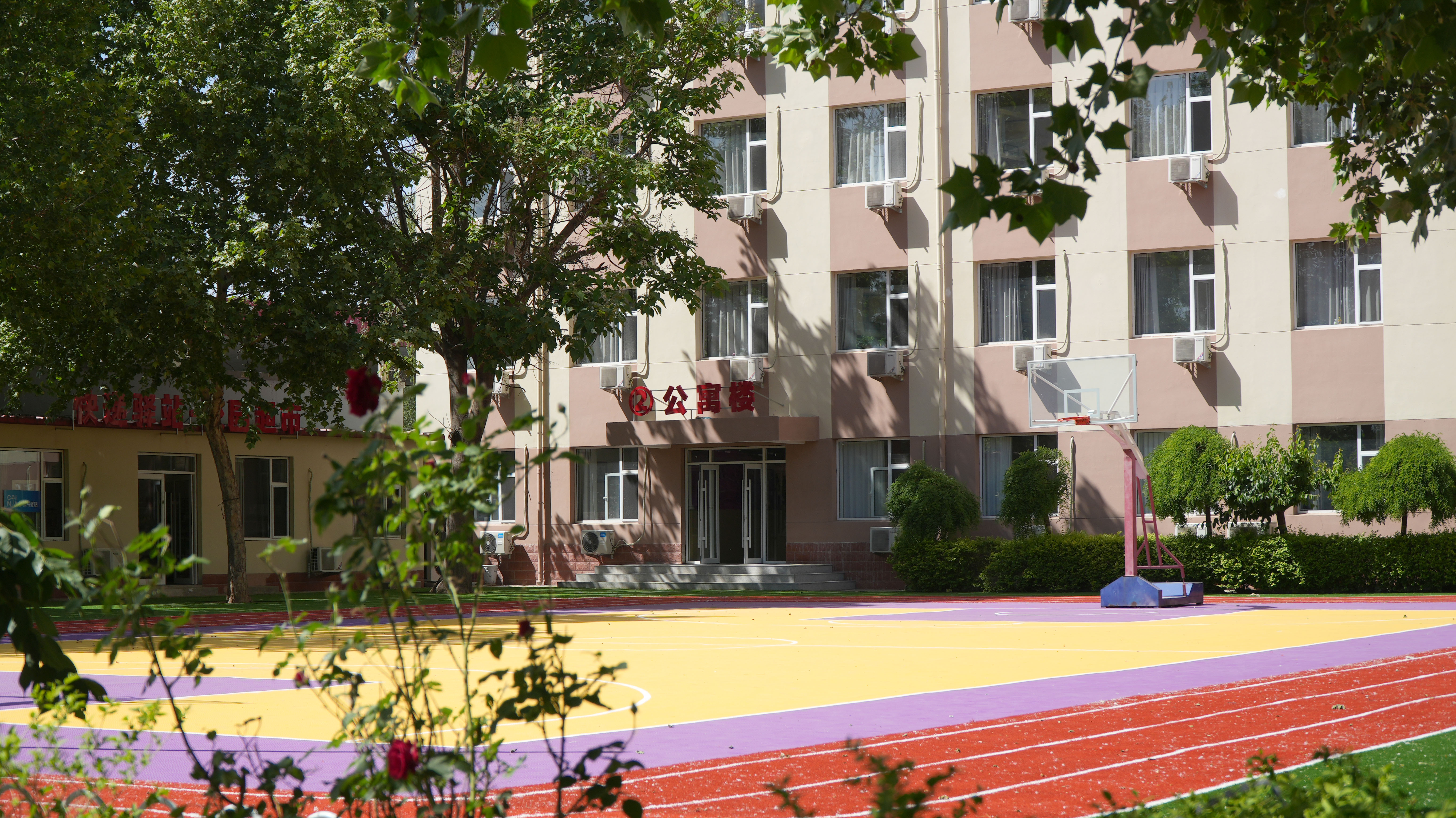 树荫下的公寓楼与彩色运动场地